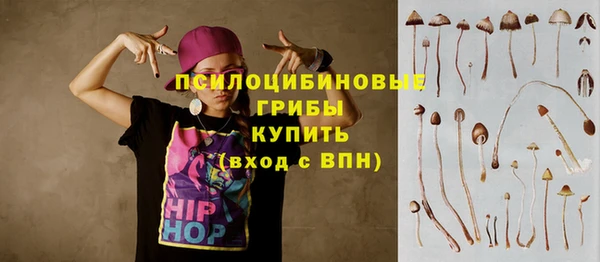 стафф Аркадак